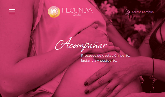 A screen capture of the website showing pregnant women working together in various settings and activities.