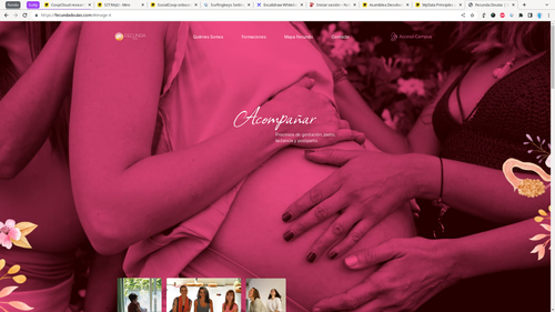 A screen capture of the website showing pregnant women working together in various settings and activities.
